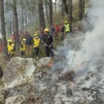 वनाग्नि से निपटने को तैयार उत्तराखंड: प्रदेश के 41 वन प्रभागों में हुआ ‘मॉक ड्रिल’, रिस्पॉन्स टाइम और तालमेल का परीक्षण