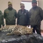 पौड़ी के बाड़ा गांव में आदमखोर गुलदार ढेर, मशहूर शिकारी जॉय हुकिल व वन विभाग की संयुक्त कार्रवाई