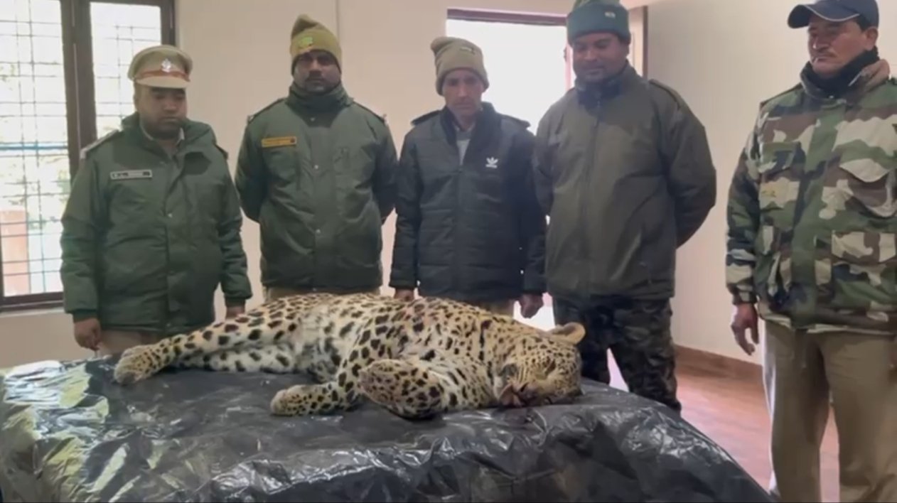 पौड़ी के बाड़ा गांव में आदमखोर गुलदार ढेर, मशहूर शिकारी जॉय हुकिल व वन विभाग की संयुक्त कार्रवाई